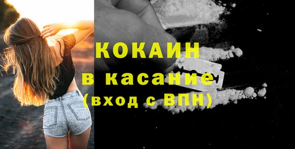стафф Алексин